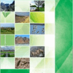 Annual Report 2024
