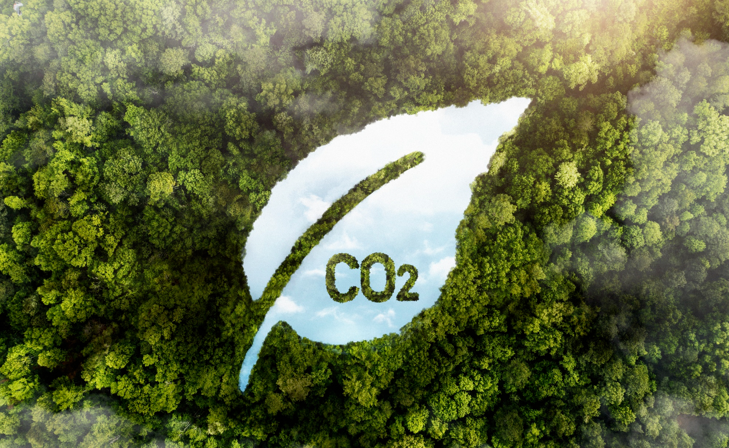 Climate Change 