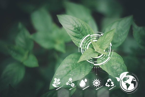 Natural Resource & Energy Management