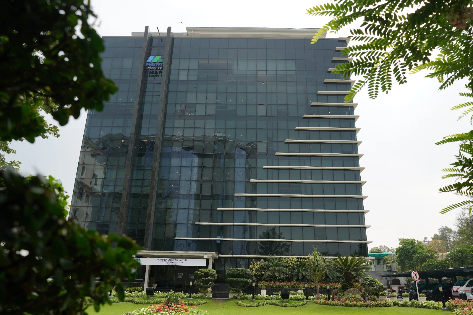 Shareholding Structure & Group Relationships